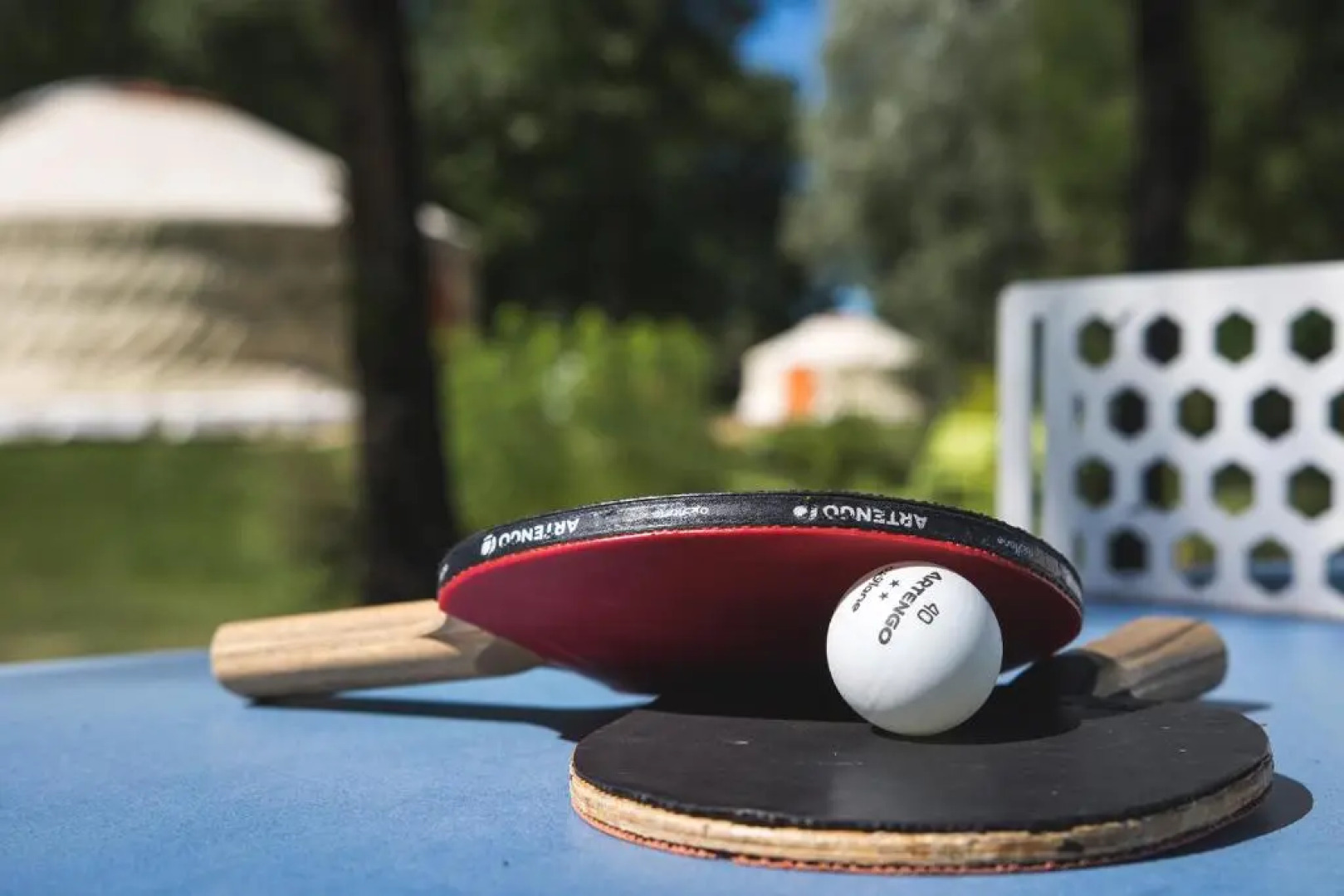 L'Escale des Châteaux de la Loire