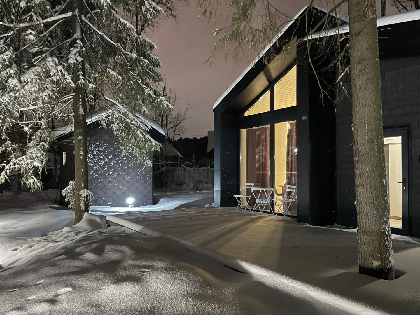 Pine Forest(Хвойный лес)