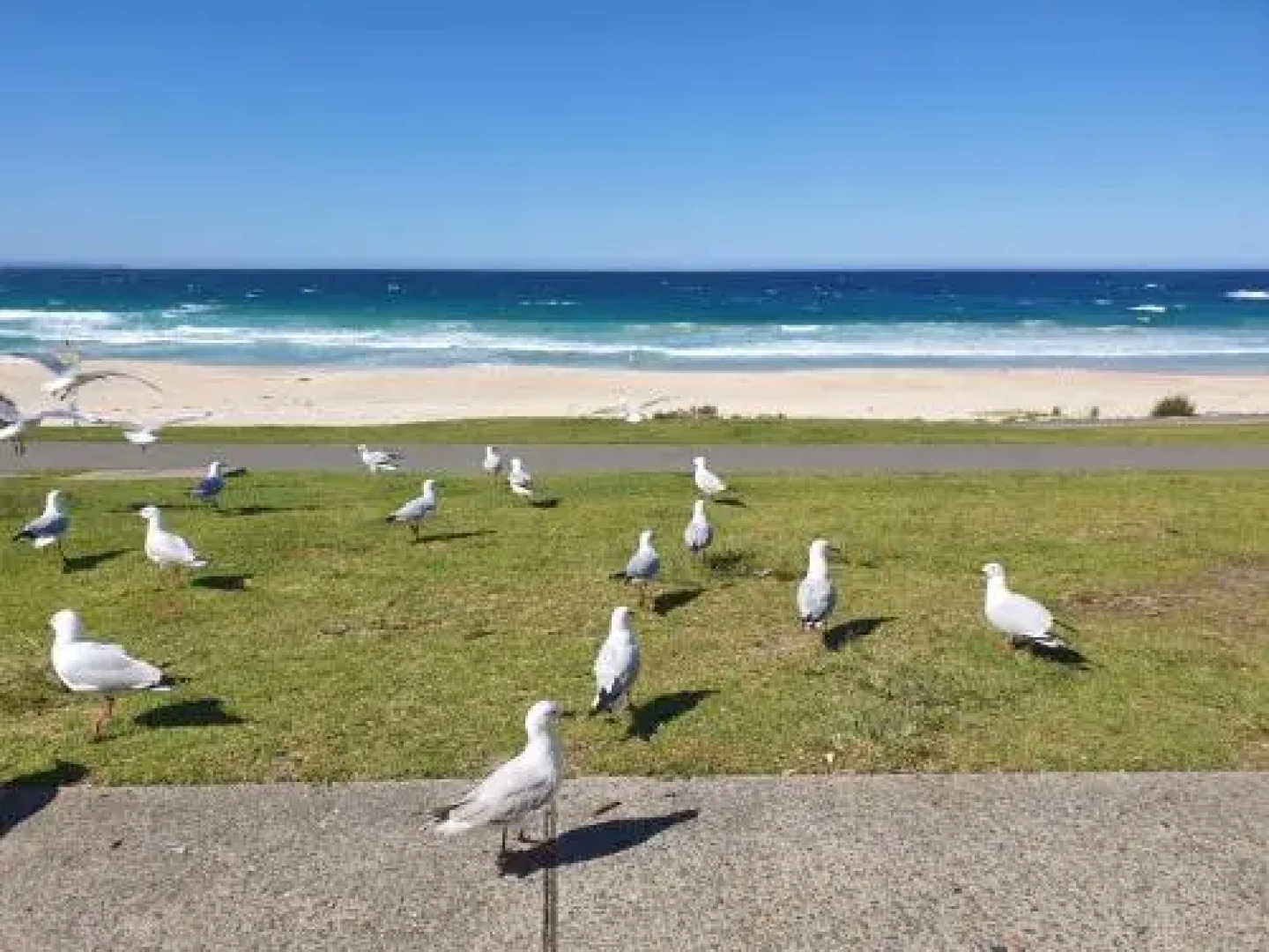 Sandpiper Motel Ulladulla