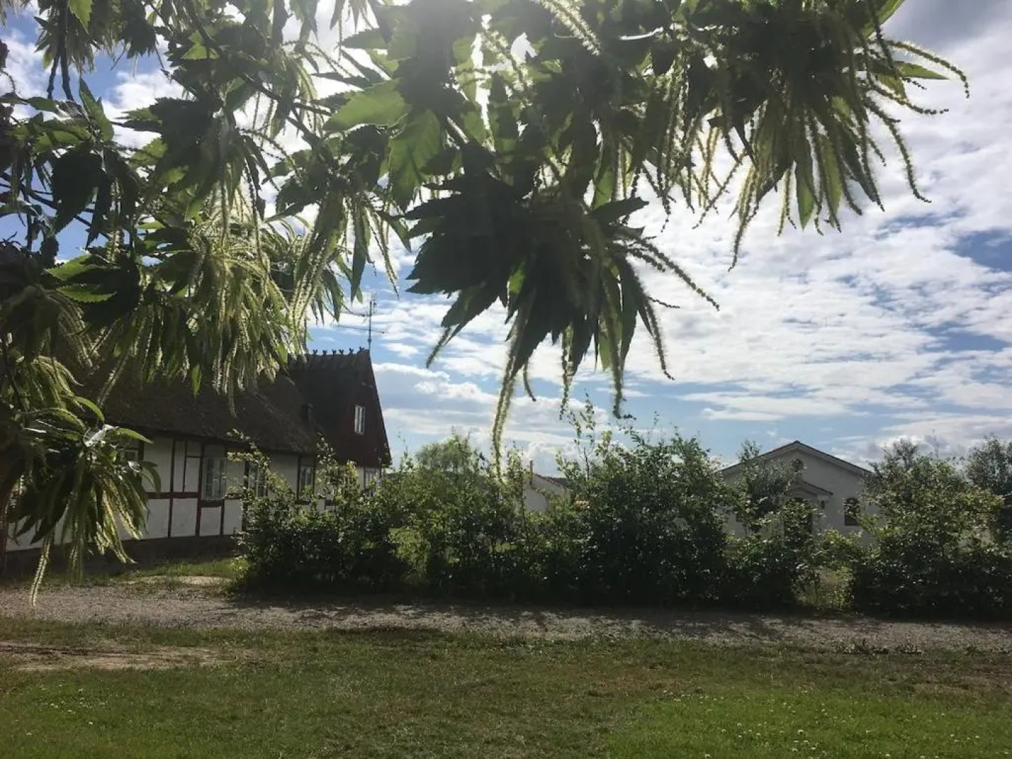 Kastanjegården på Stenshuvud