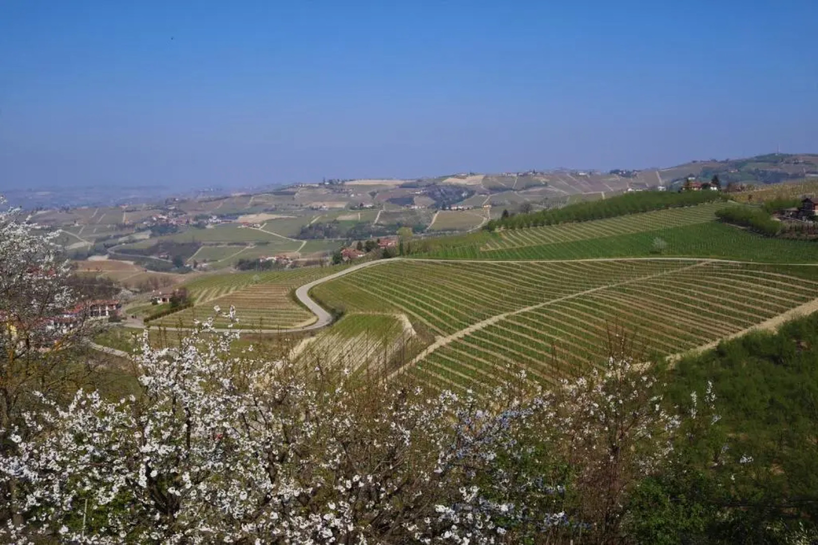 Il Caprifoglio Neviglie