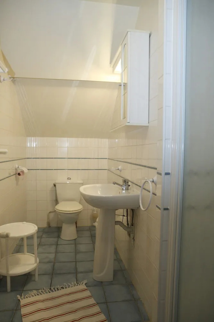 Rosa Enia Studio N 3