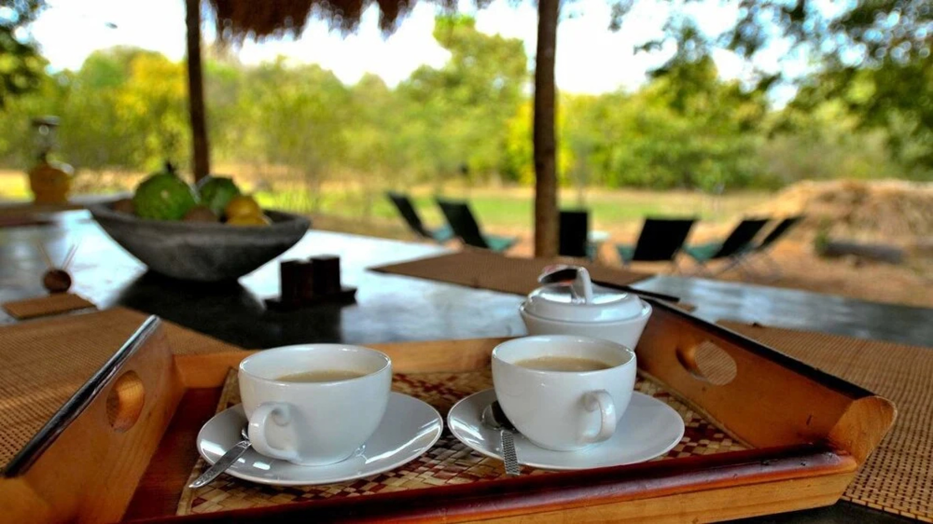 Palpatha Eco Safari Lodge