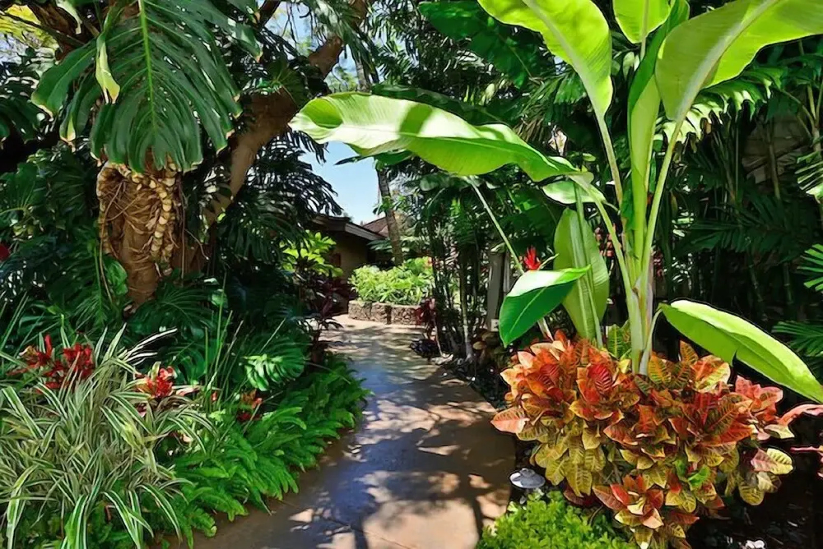 Aina Nalu I109 by RedAwning