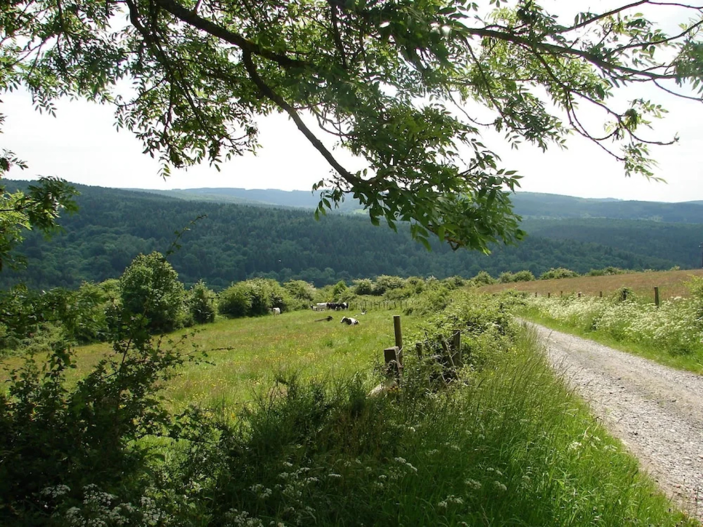 Cosy Cottage in Ardennes with a Garden
