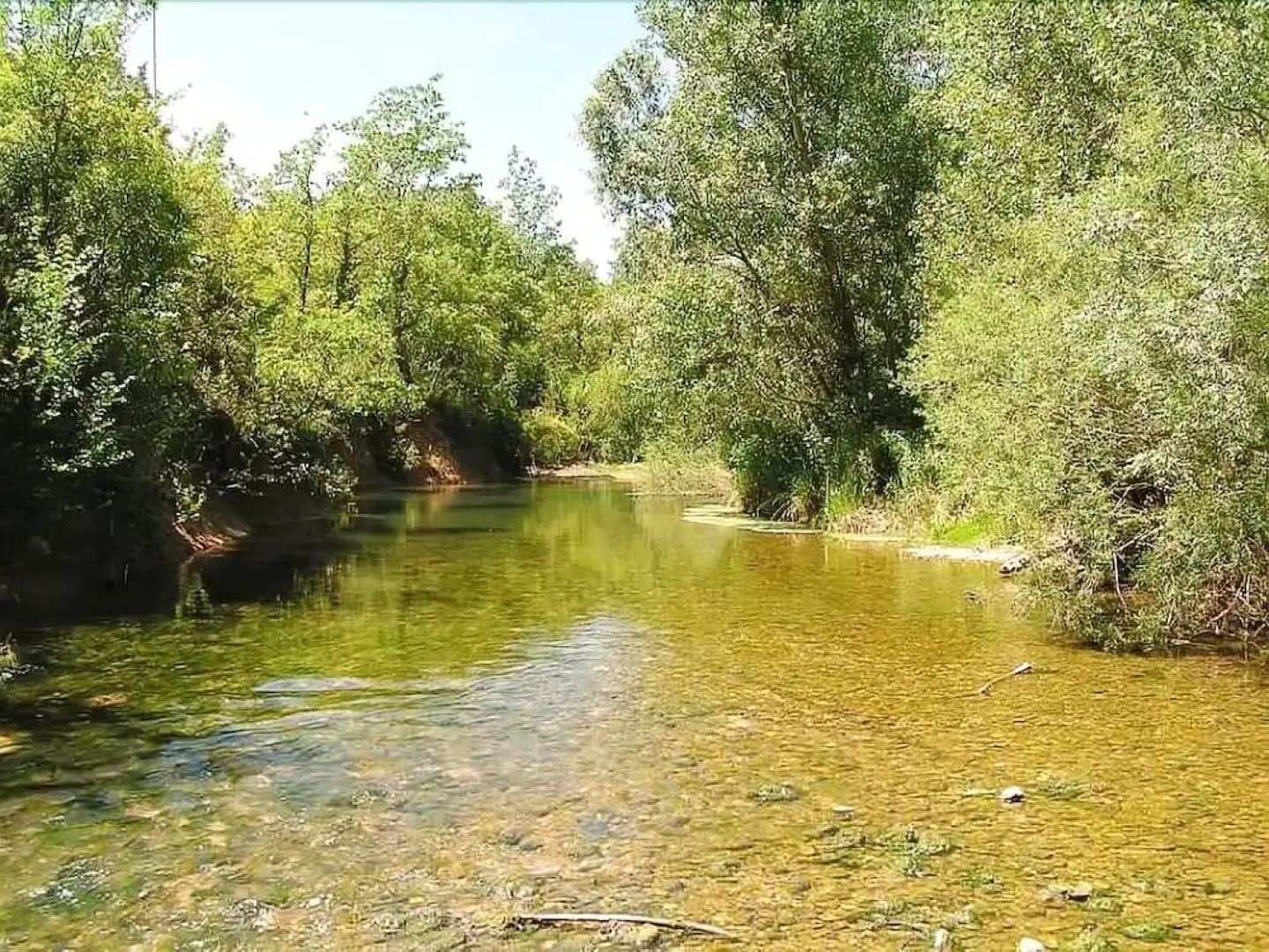 La Maison de l'Amour