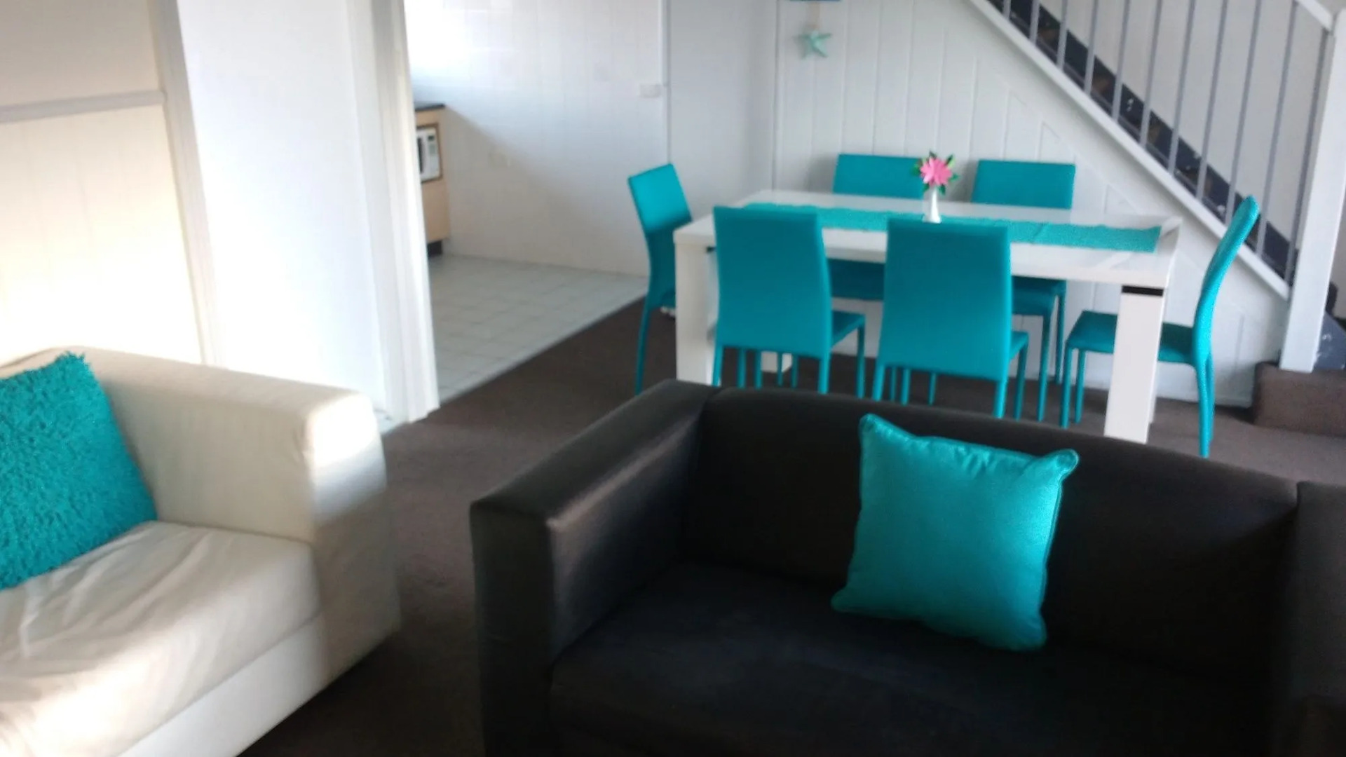 Diamond Island Resort & Penguin viewing