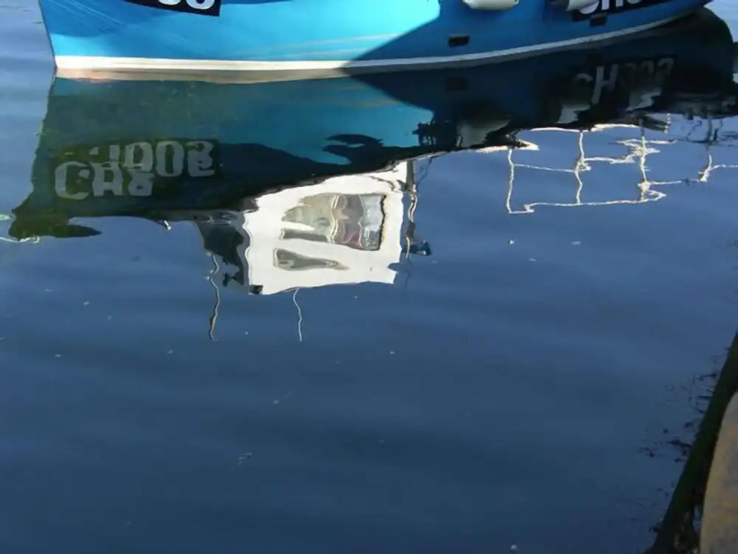 Tay Pearls - The Nestings