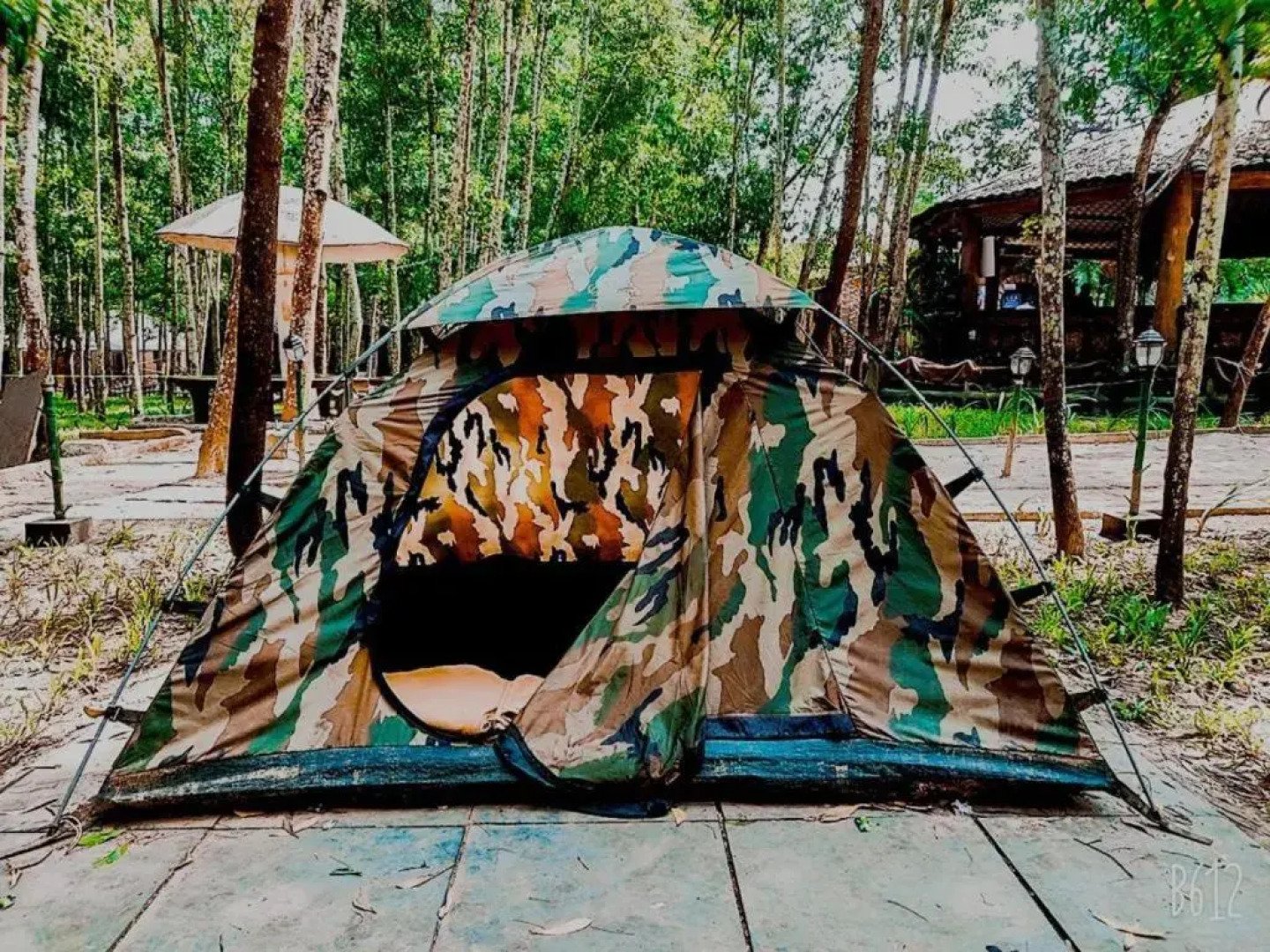 Dandeli Jungle Villa