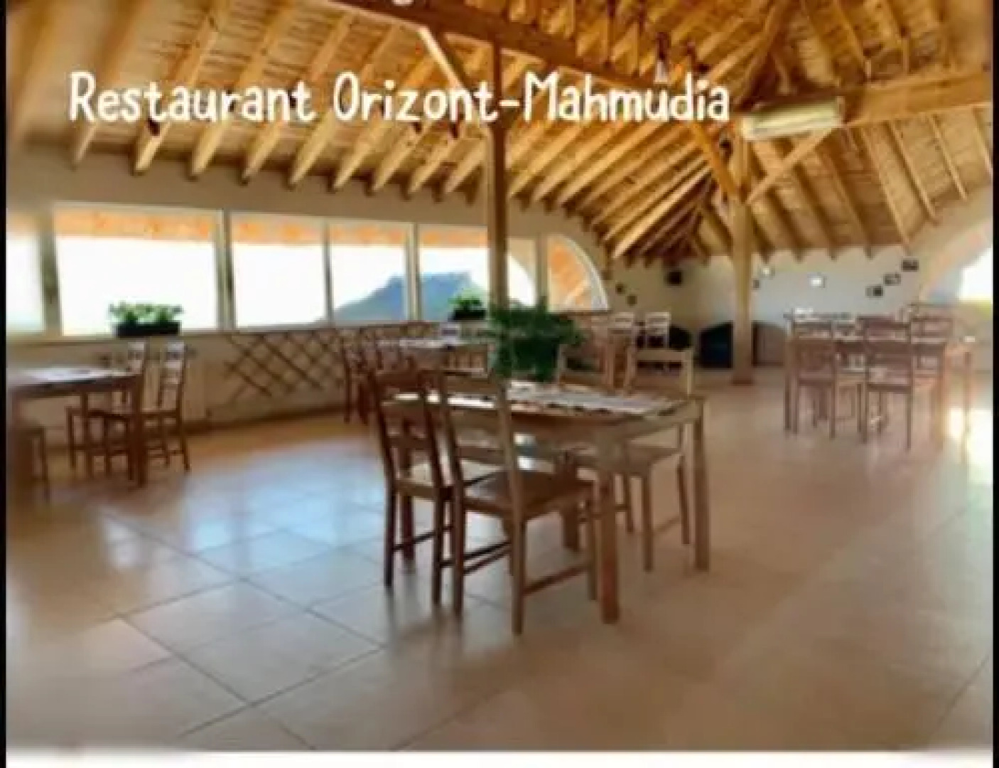 Orizont Mahmudia