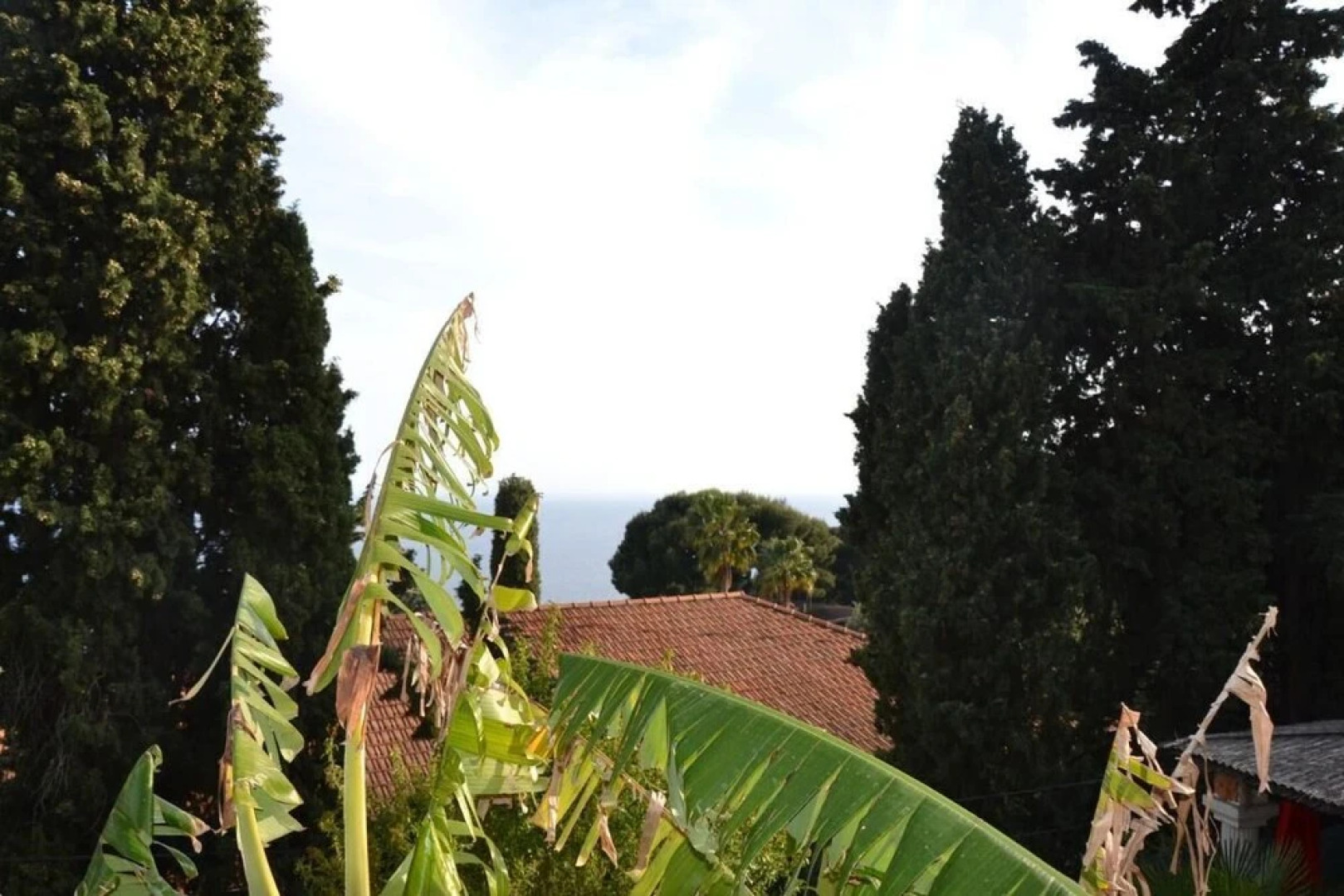 Villa Azur Cap D'ail Two-room Apartment n. 4