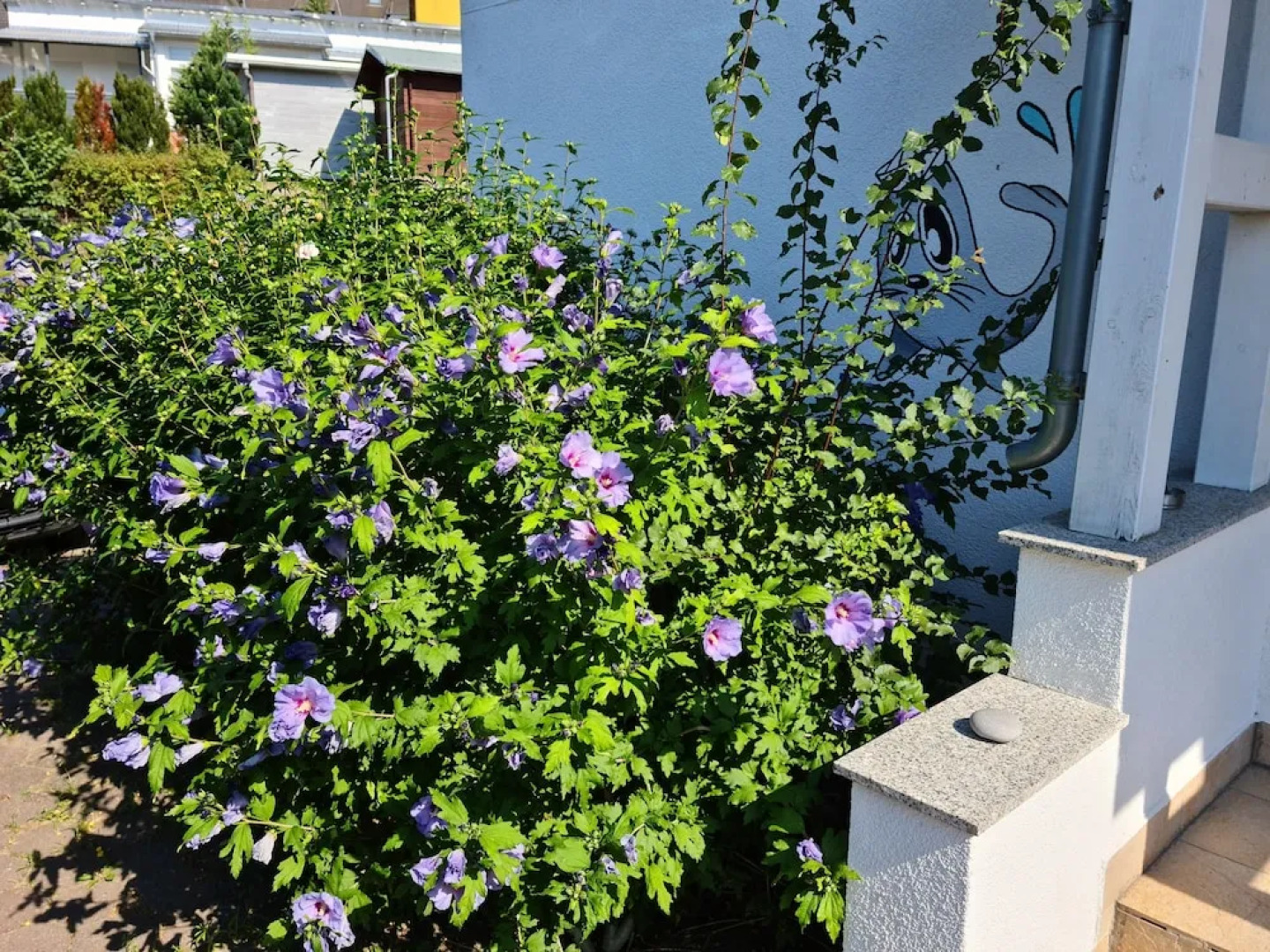 Ferienwohnung Tintenfisch