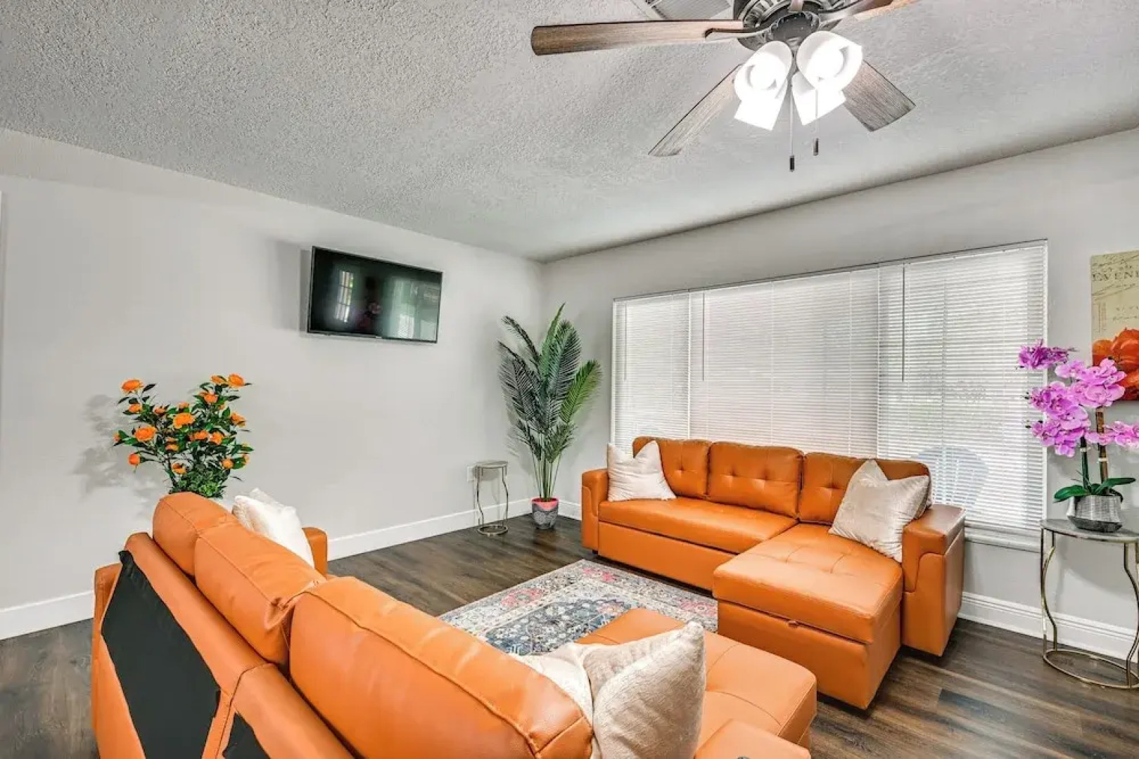 7 Mi to Busch Gardens: Lutz Home w/ Patio!