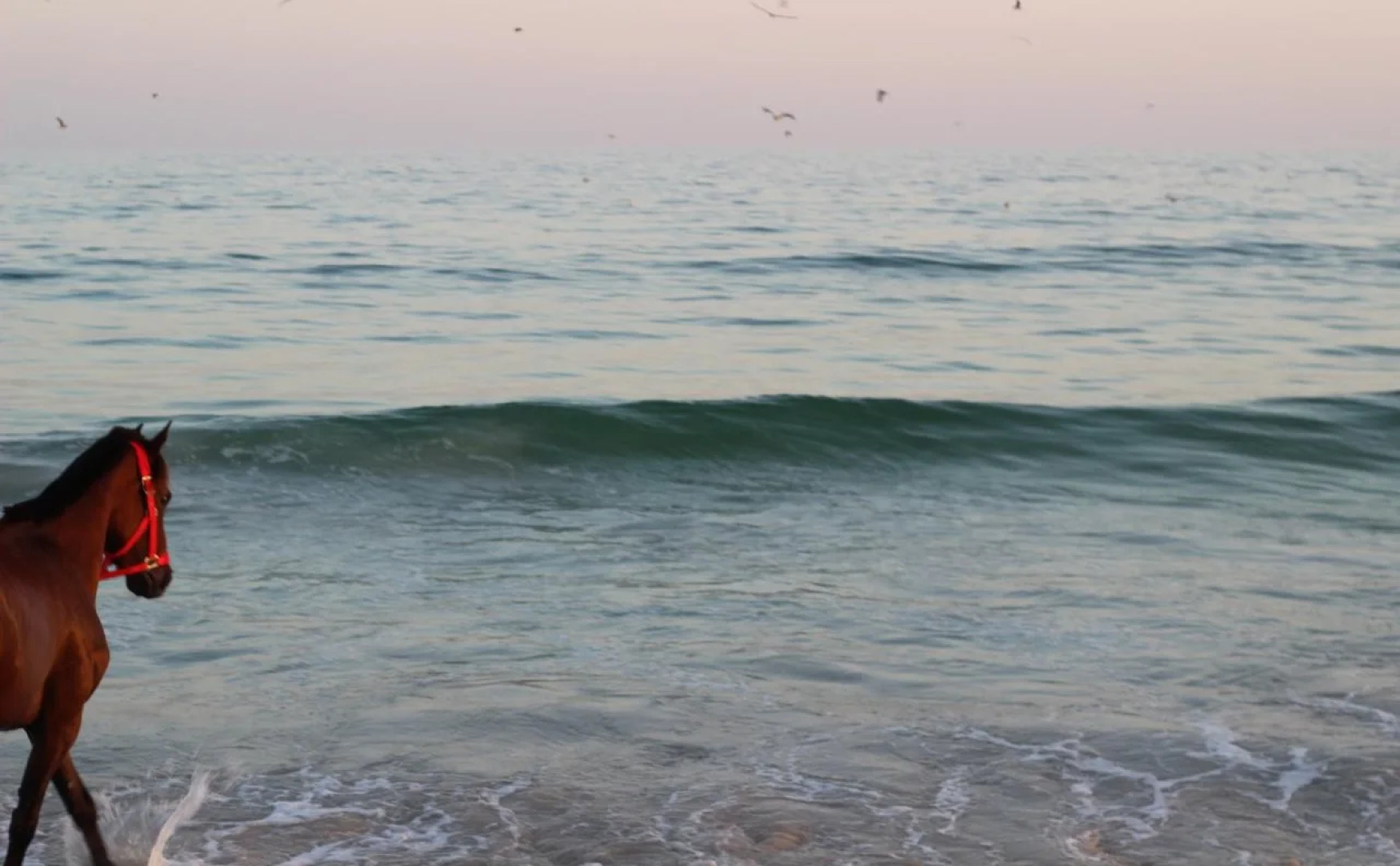 Beach Resort - Salalah