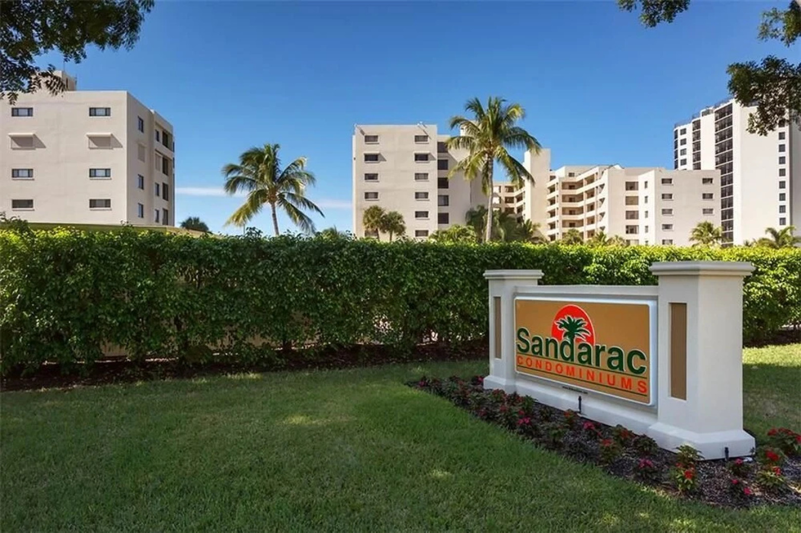 Sandarac B609