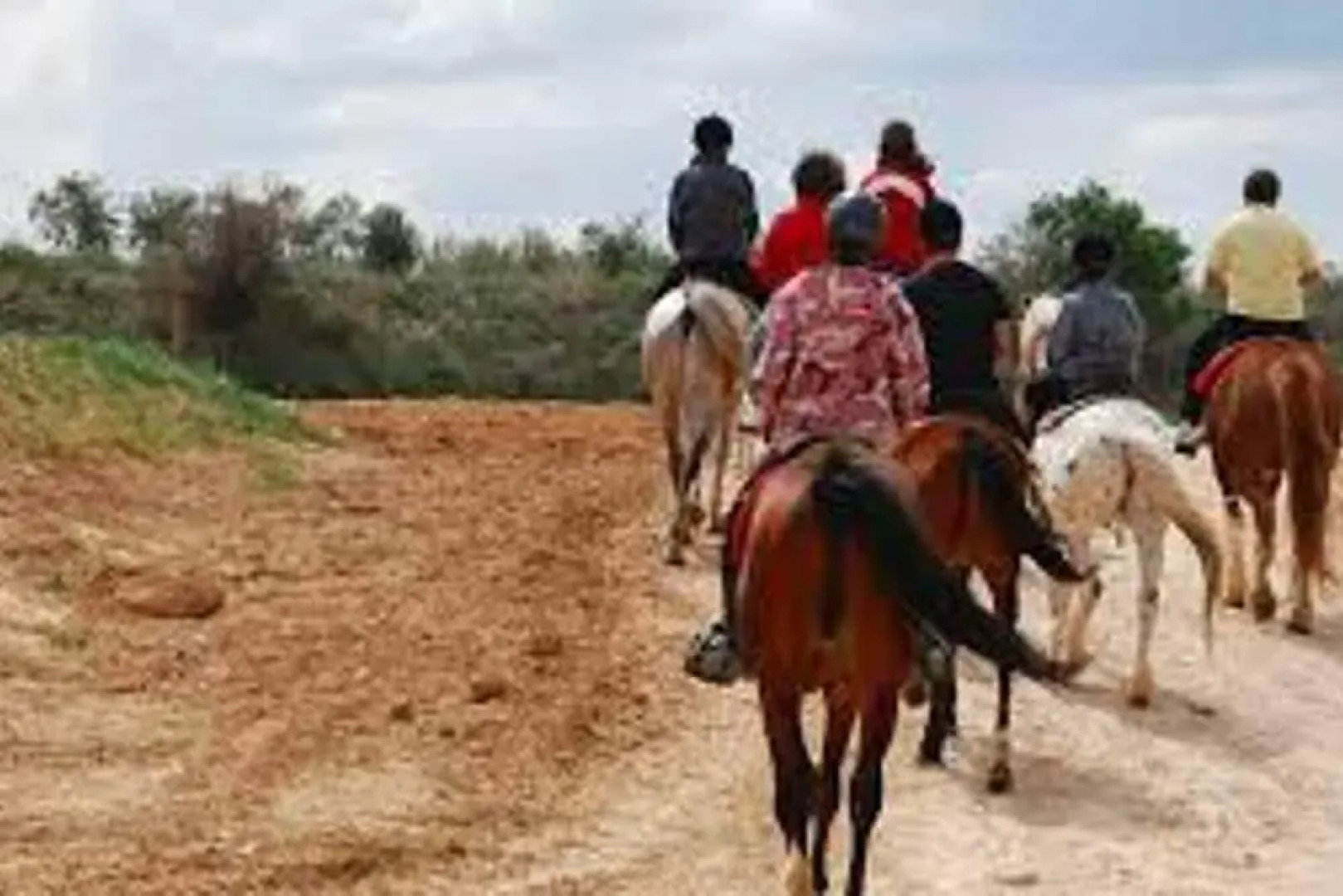 Apartment With 2 Bedrooms in Tudela, With Wonderful City View, Furnished Terrace and Wifi
