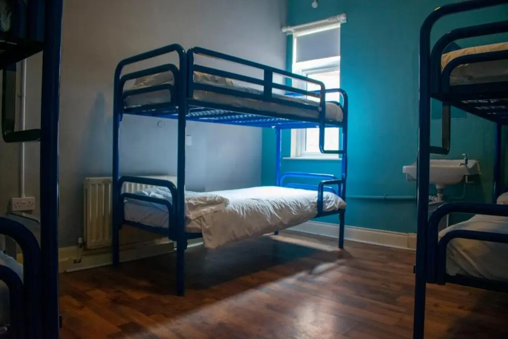 Paddys Palace Belfast