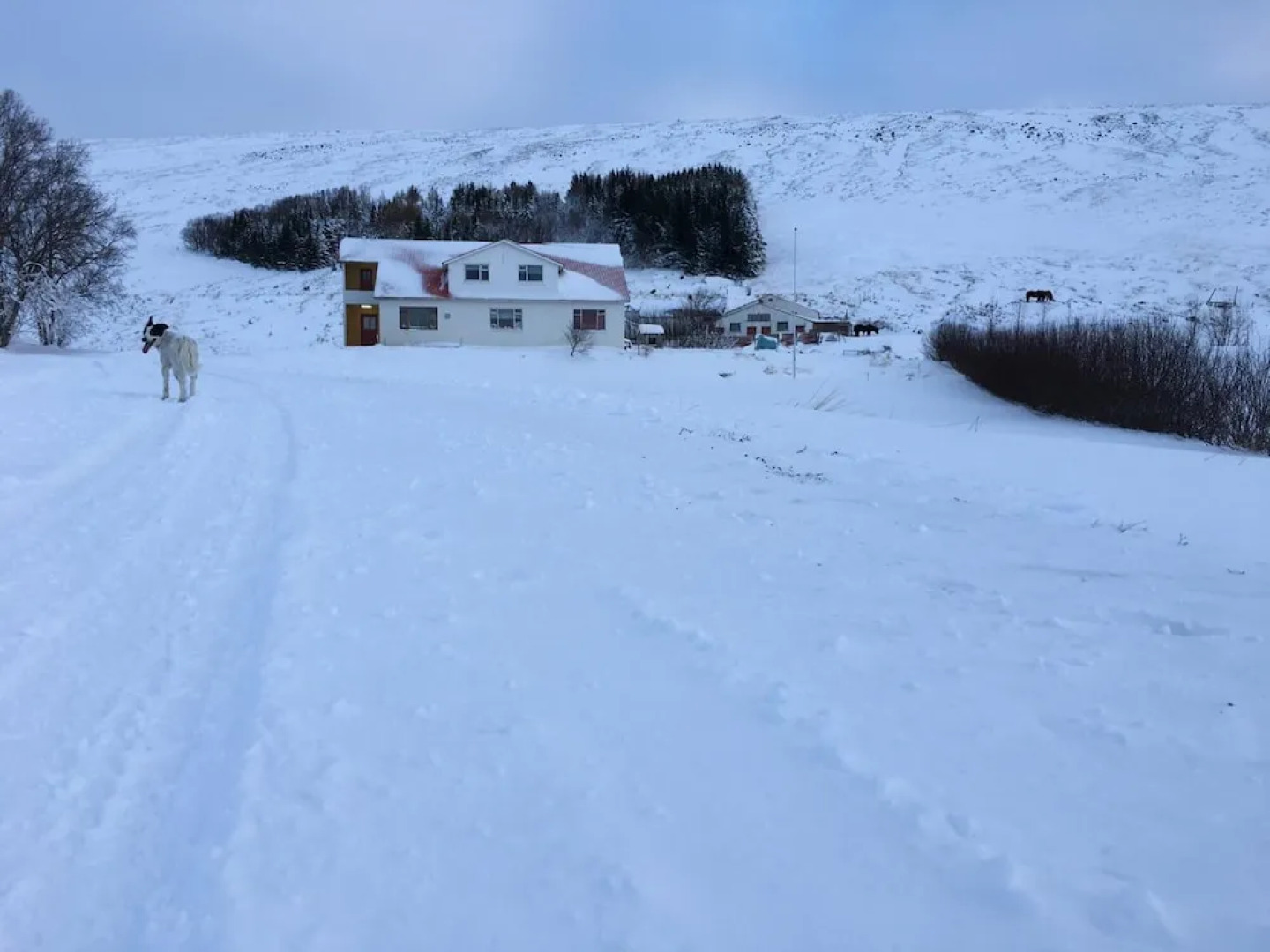 Öndólfsstaðir Farm B&B