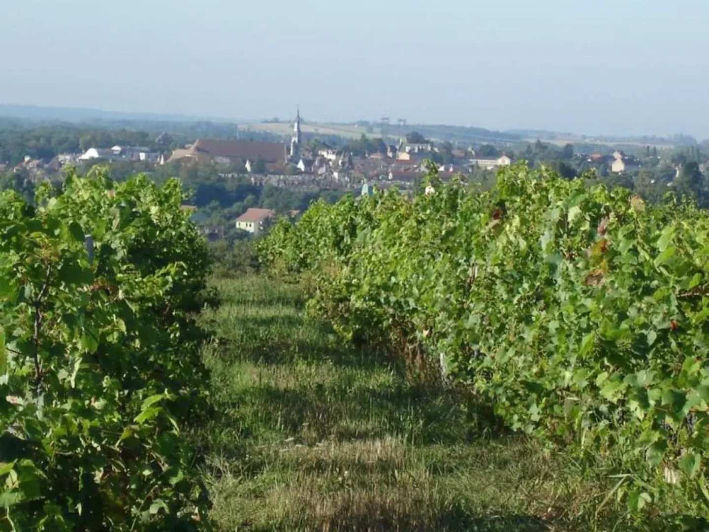 Gîte Saint-Pourçain-sur-Sioule, 2 pièces, 2 personnes - FR-1-489-30