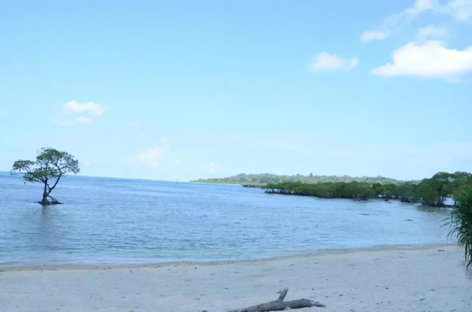 Coconhuts Beach Resort Neil Island