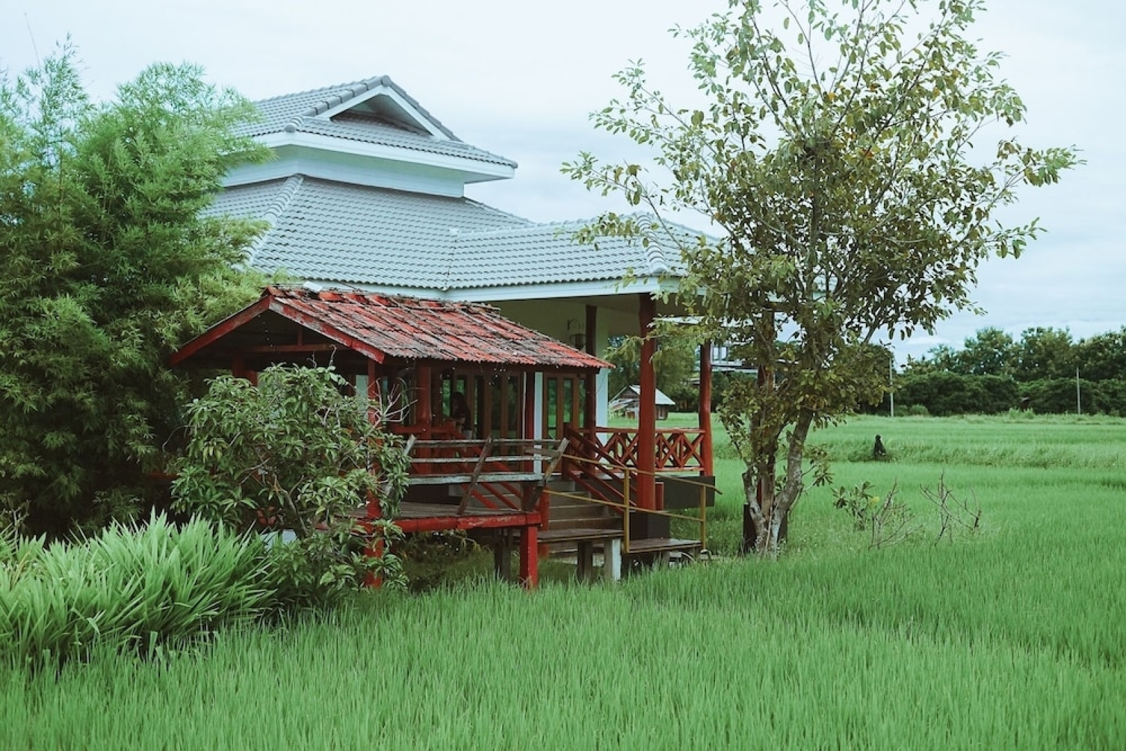 Rabeing view Doona  Chiang Mai