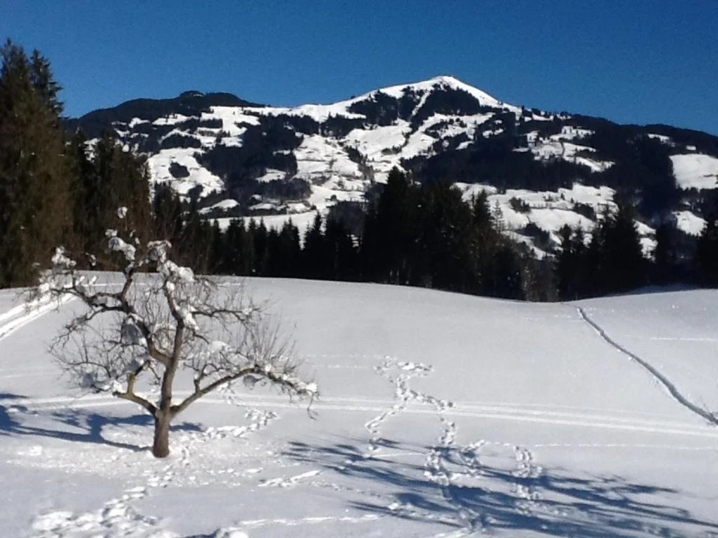 Landhaus Hinterebenhub