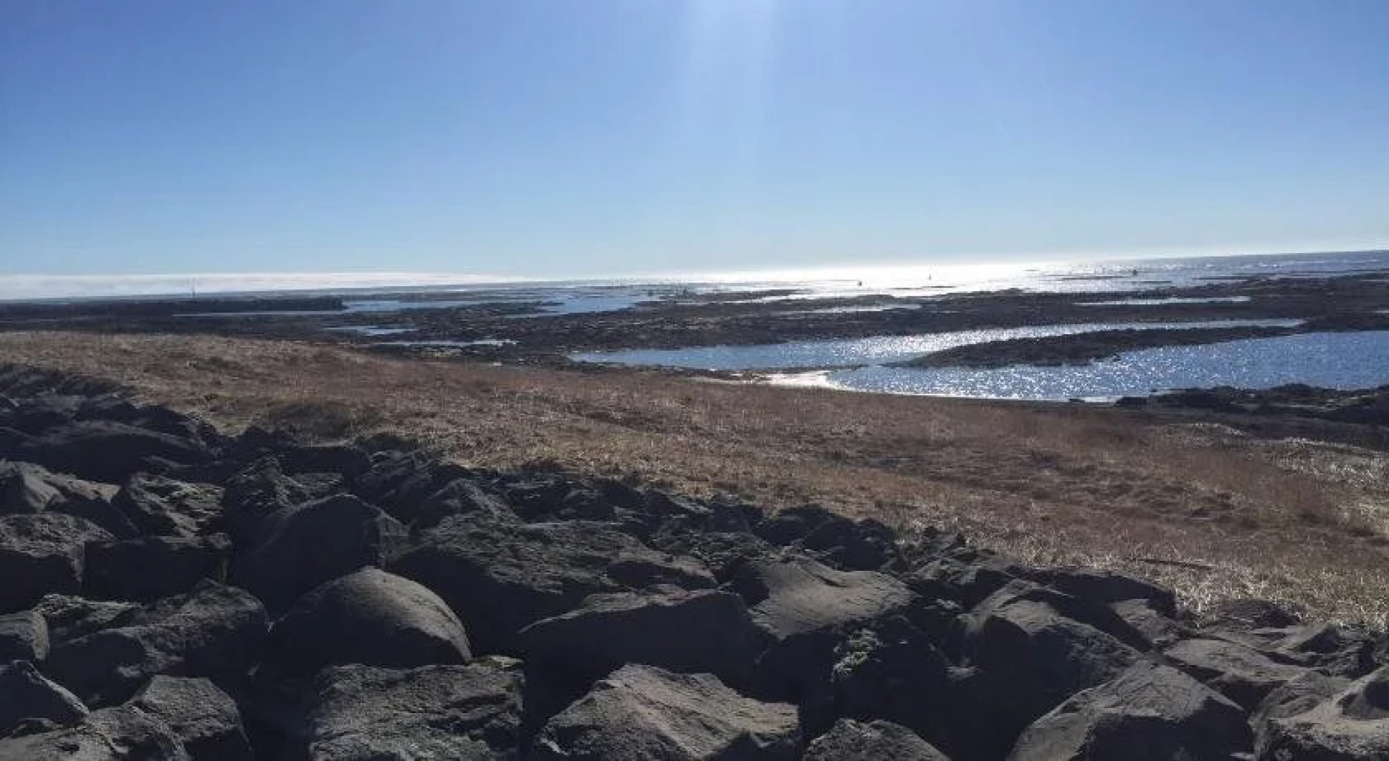 Ocean Beach Apartments