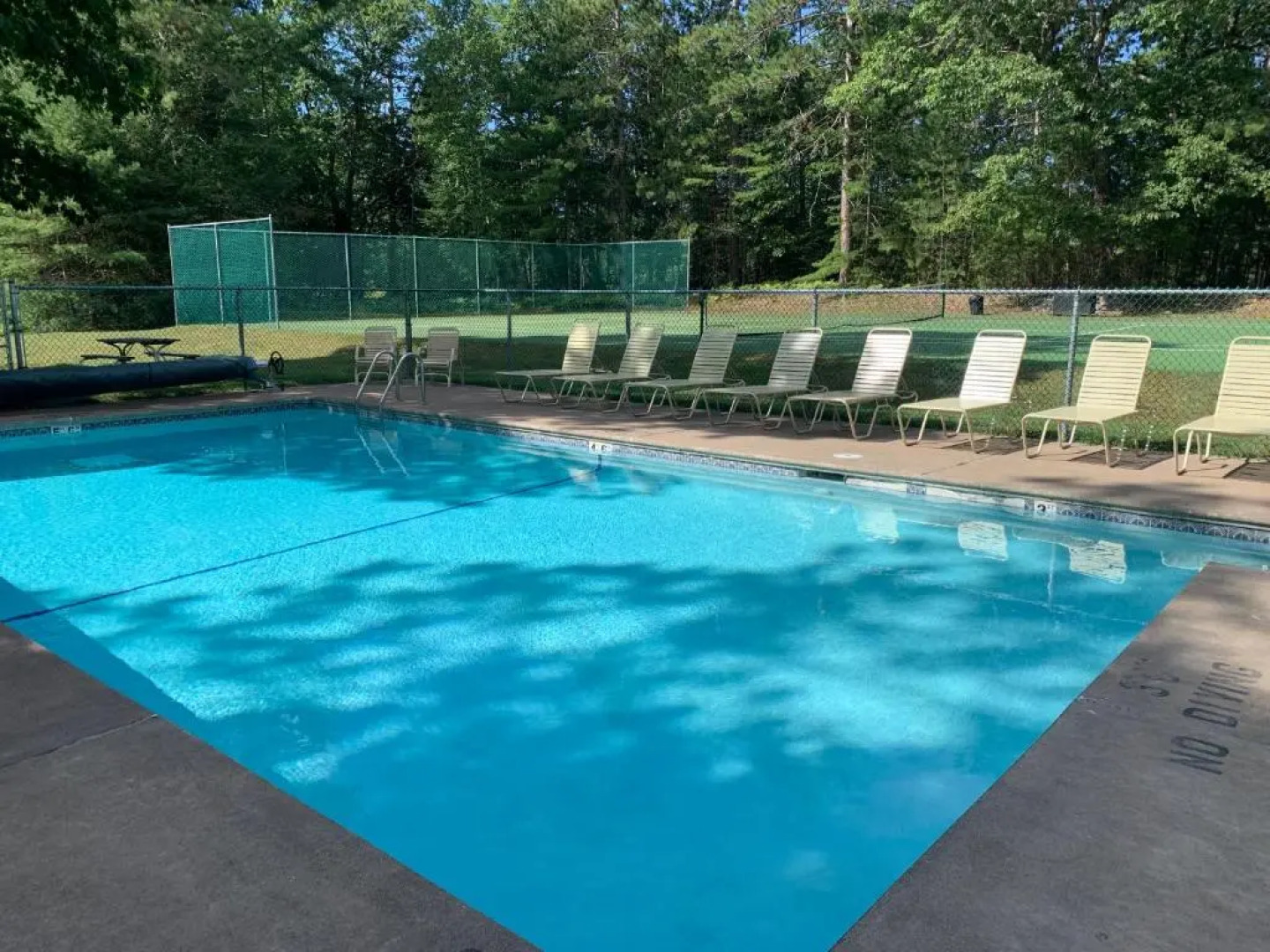 Gabe's Lost Resort - Arbor Viate #31