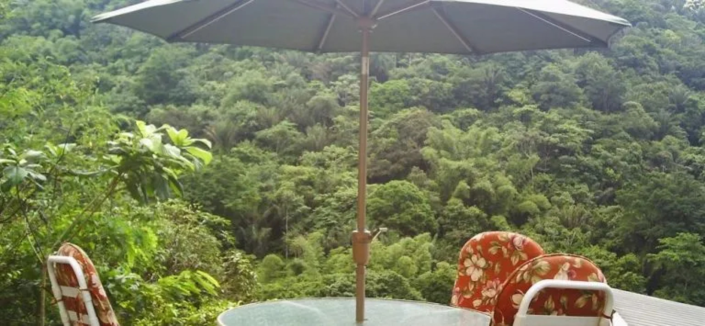 Shammah's Bed and Breakfast