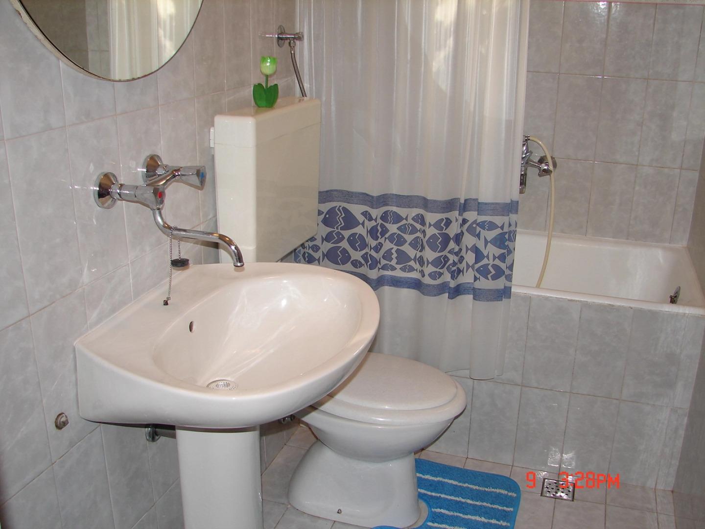 Apartment Matkov - quite and peaceful location: A1 Jelsa, Island Hvar