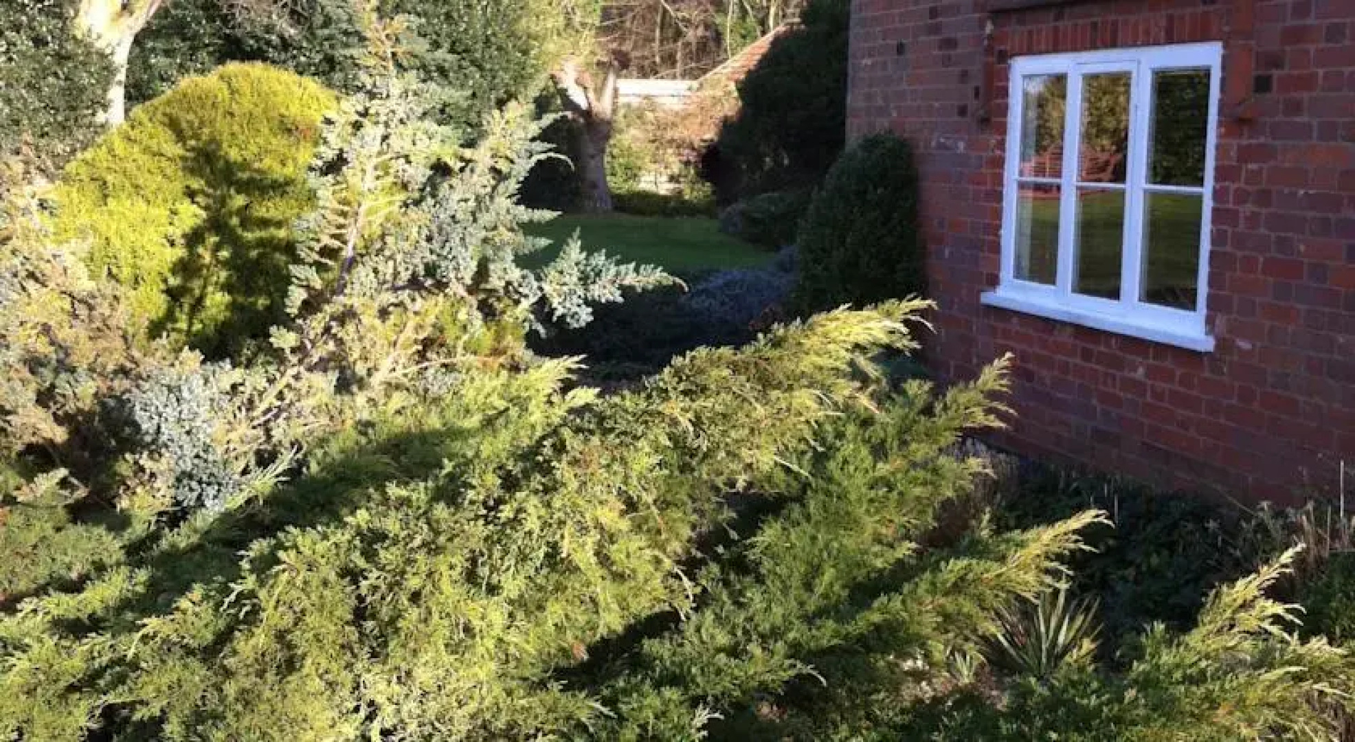 Thatched Farm Bed and Breakfast