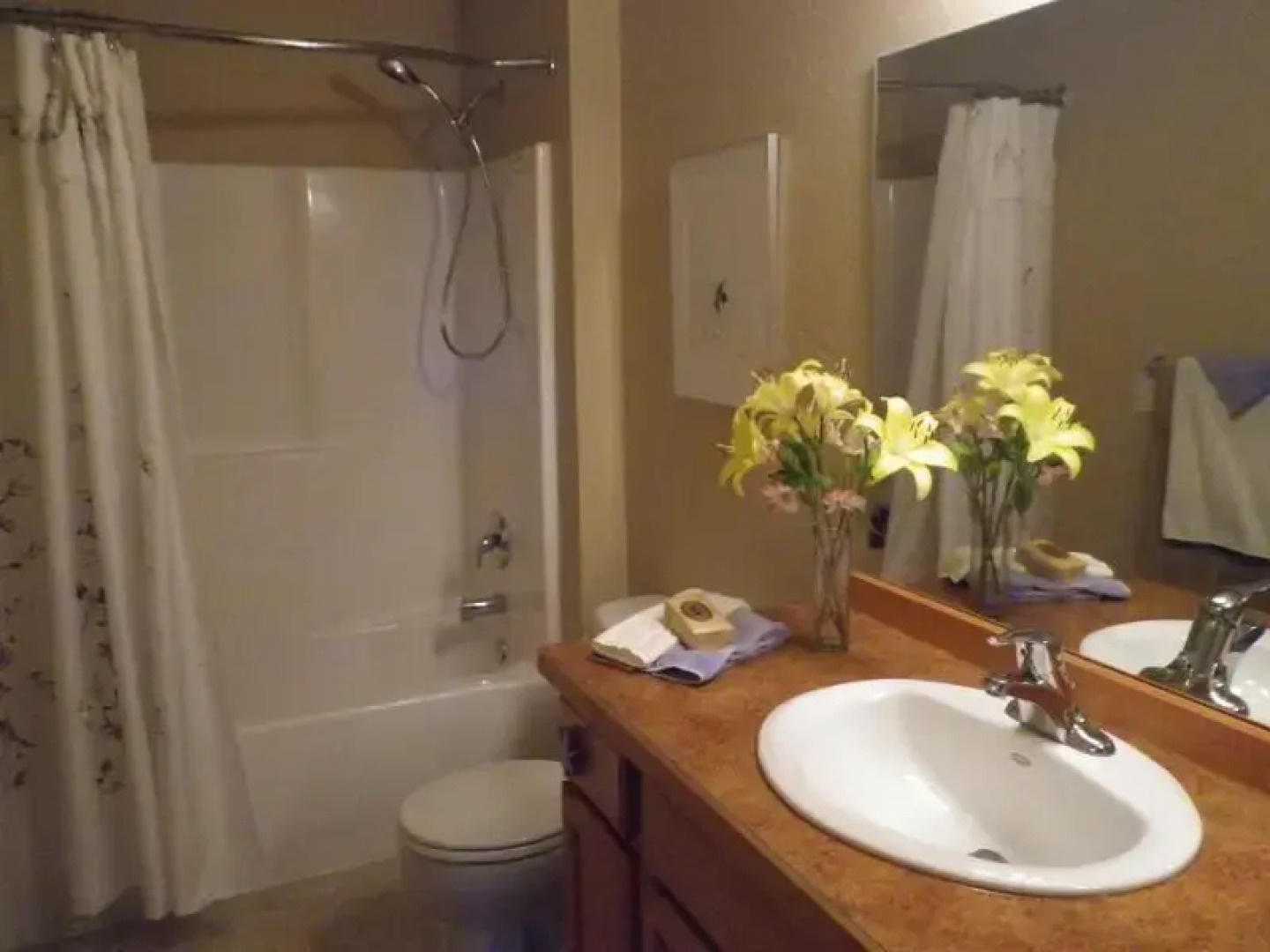 Sandpoint Downtown Condo