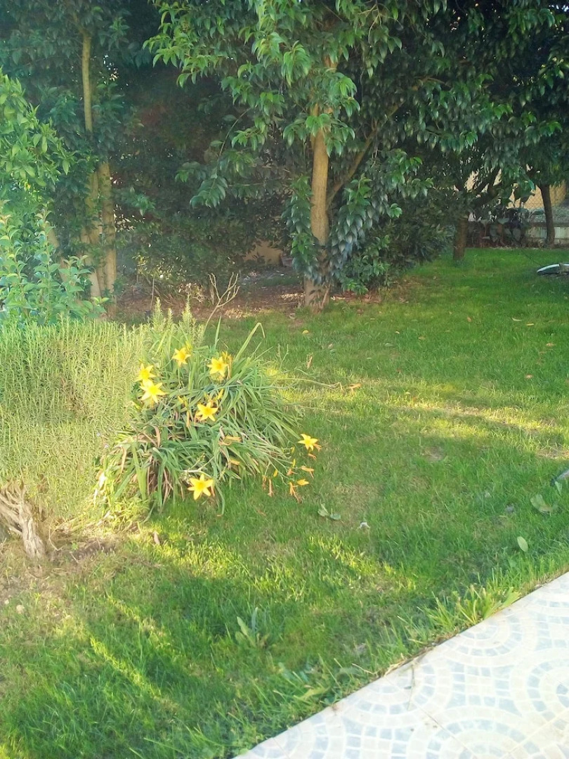 House With 2 Bedrooms in São Vicente do Paul, With Shared Pool, Enclosed Garden and Wifi Near the Beach