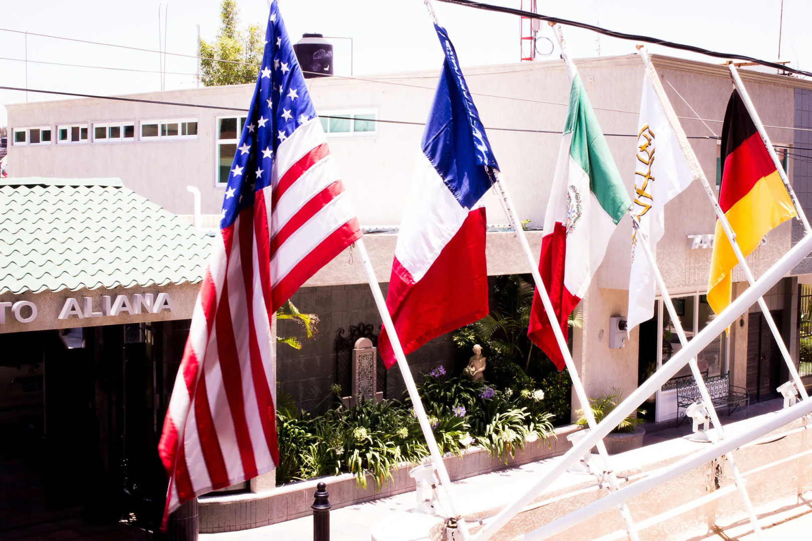 Hotel & Suites Aliana