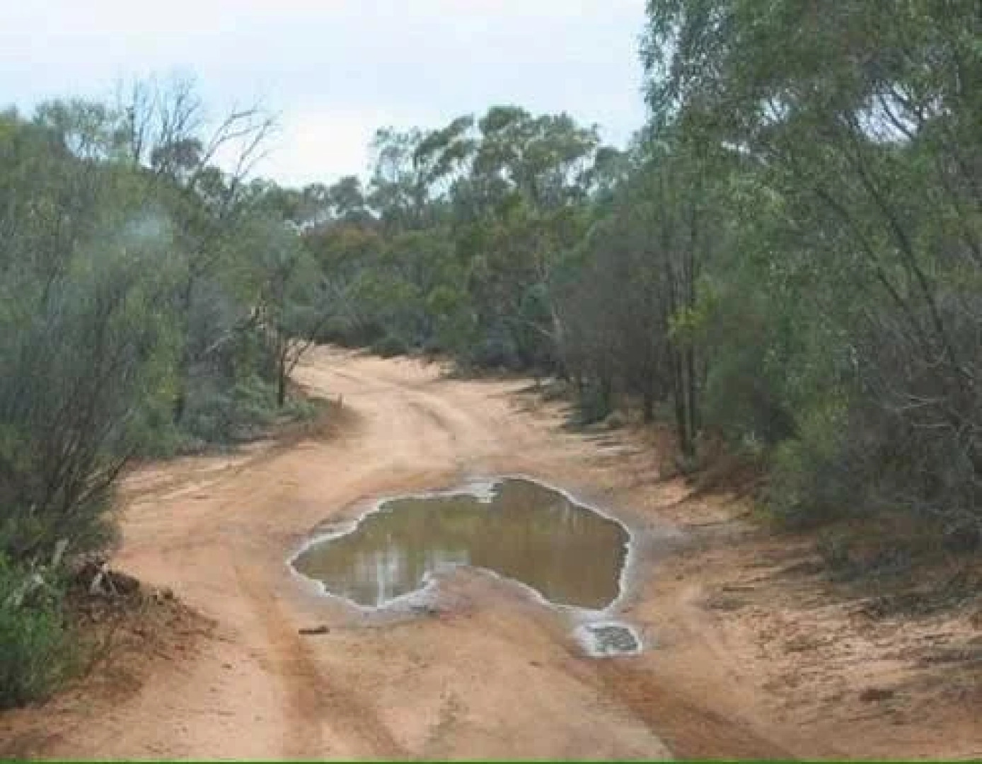 Berridale Inn Hotel Motel