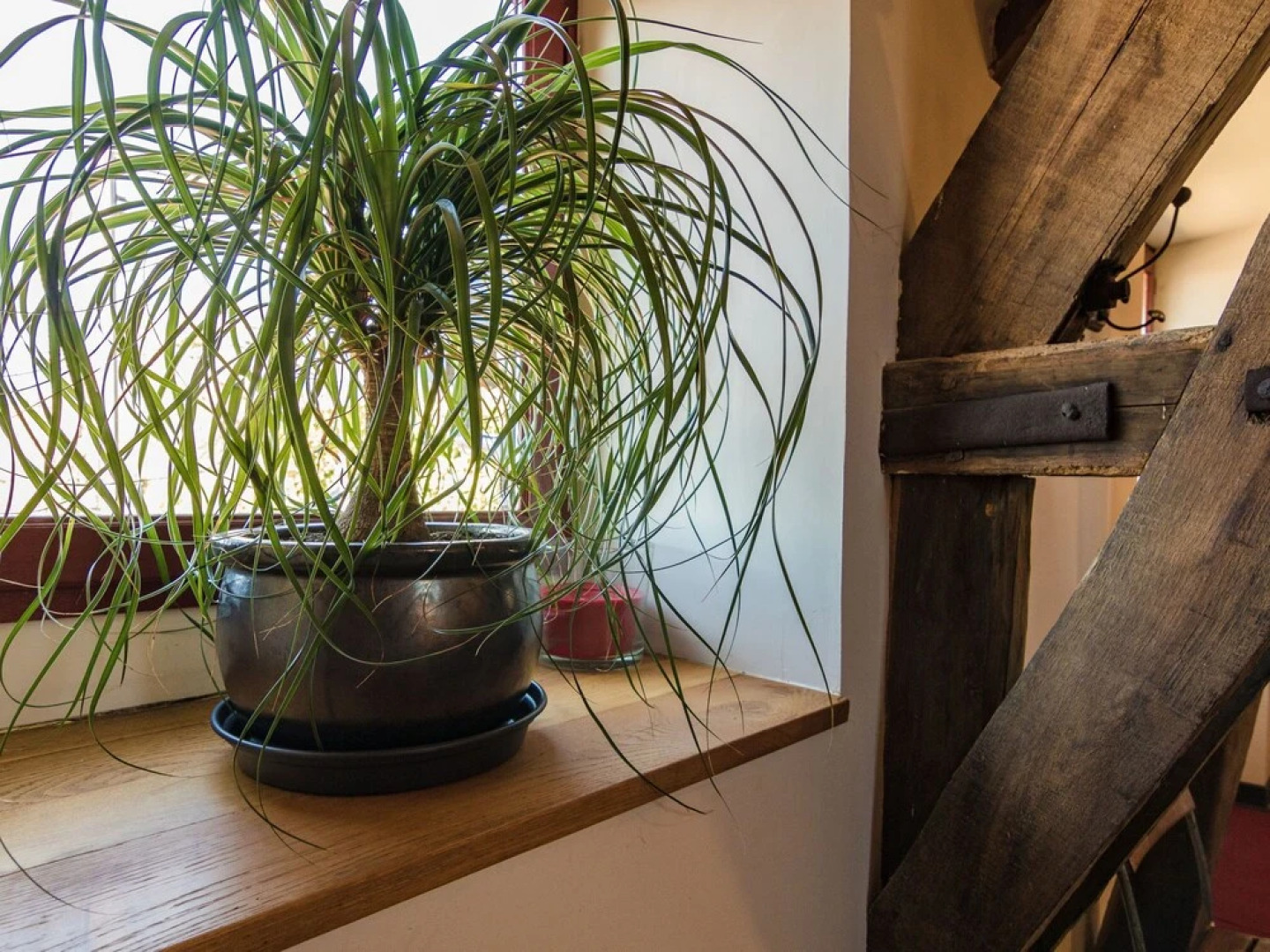 Spacious Holiday Home in Altillac with Private Pool