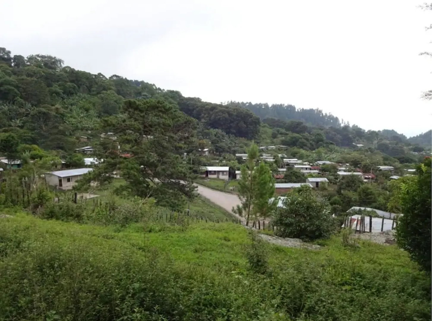Ecoalbergue Canta Gallo