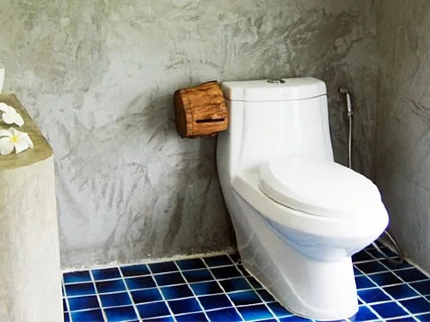 The Natural Healing Spa Retreat