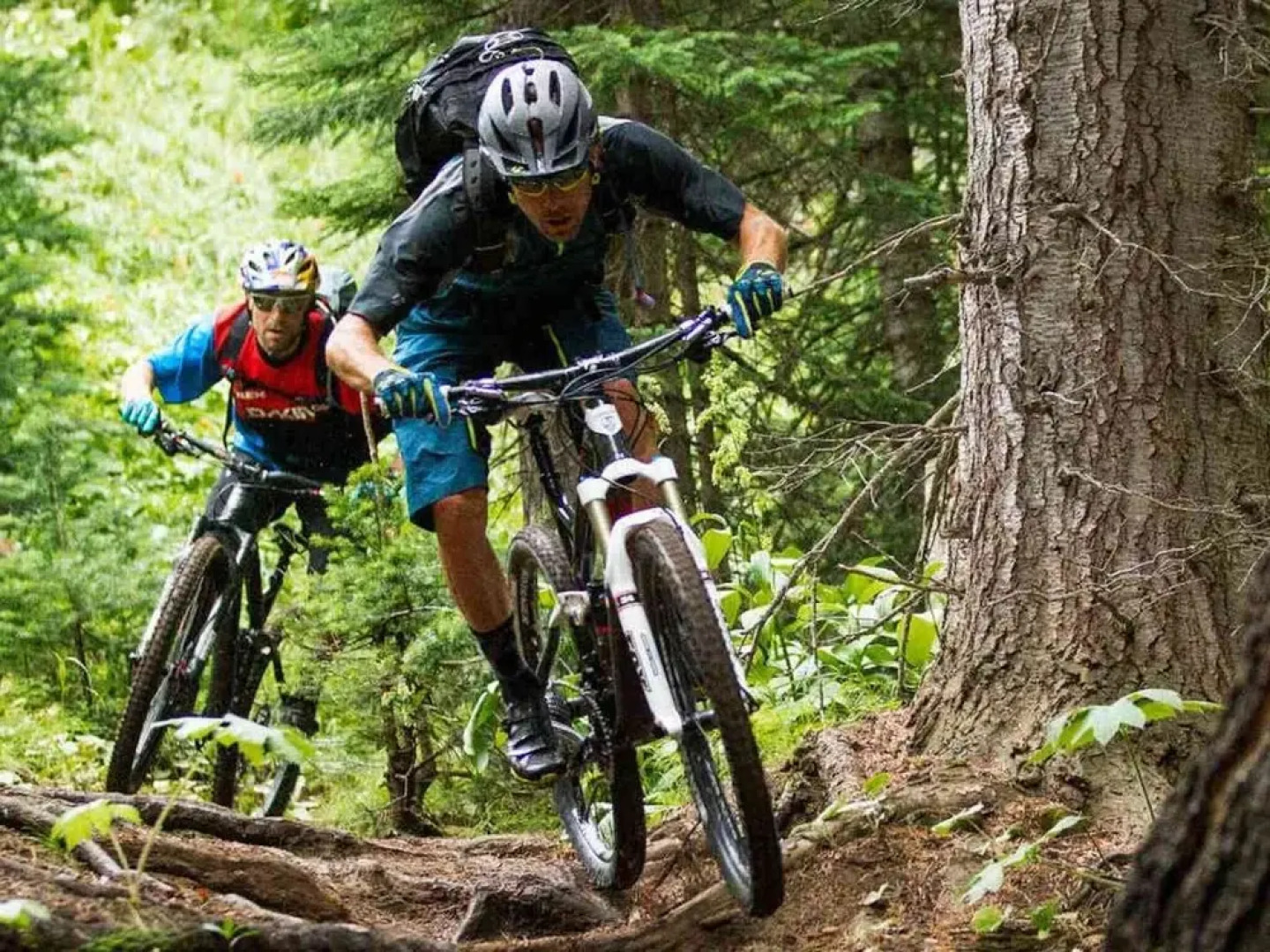 Nice Chalet With Garden, in the Antwerp Kempen