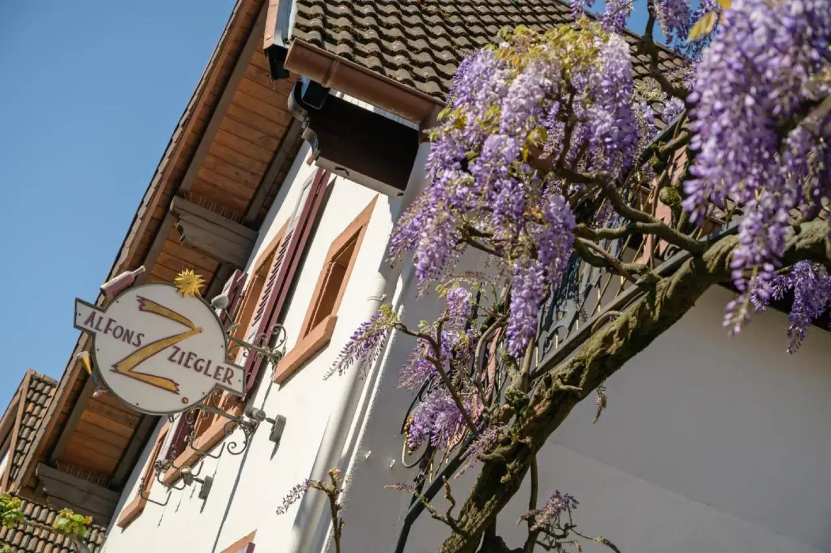 Gästehaus Palatinum