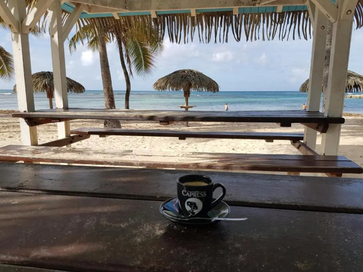 L'oiseau du Paradis Studio