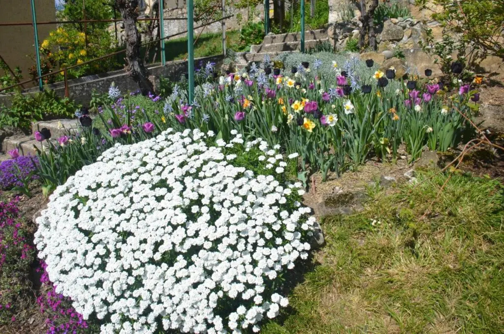 Appartements Vacances Saars 33