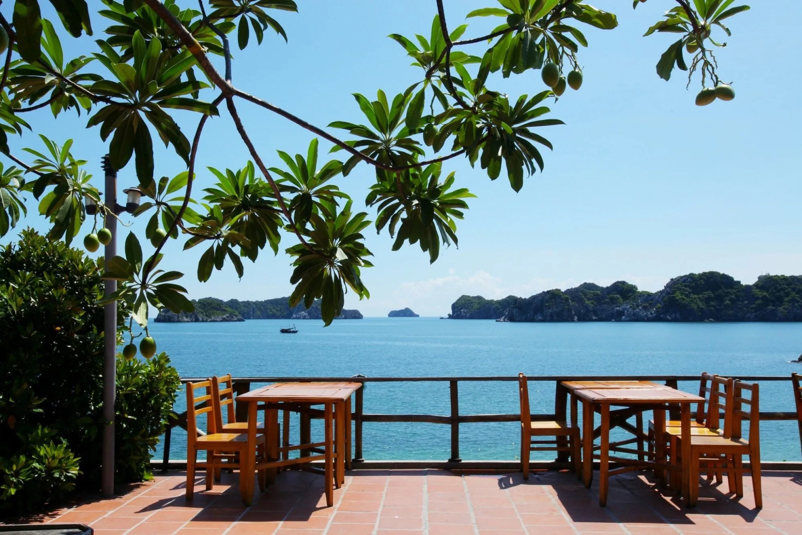 Monkey Island Resort