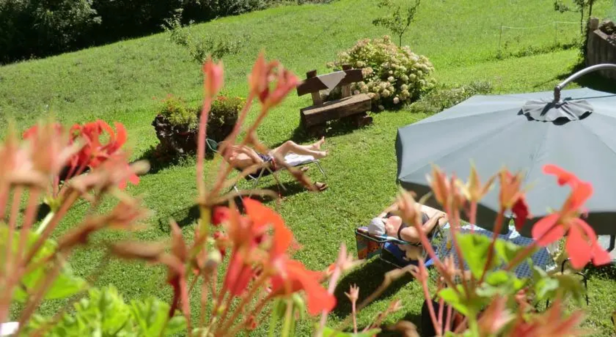 B&B La Casa Di Parpaet