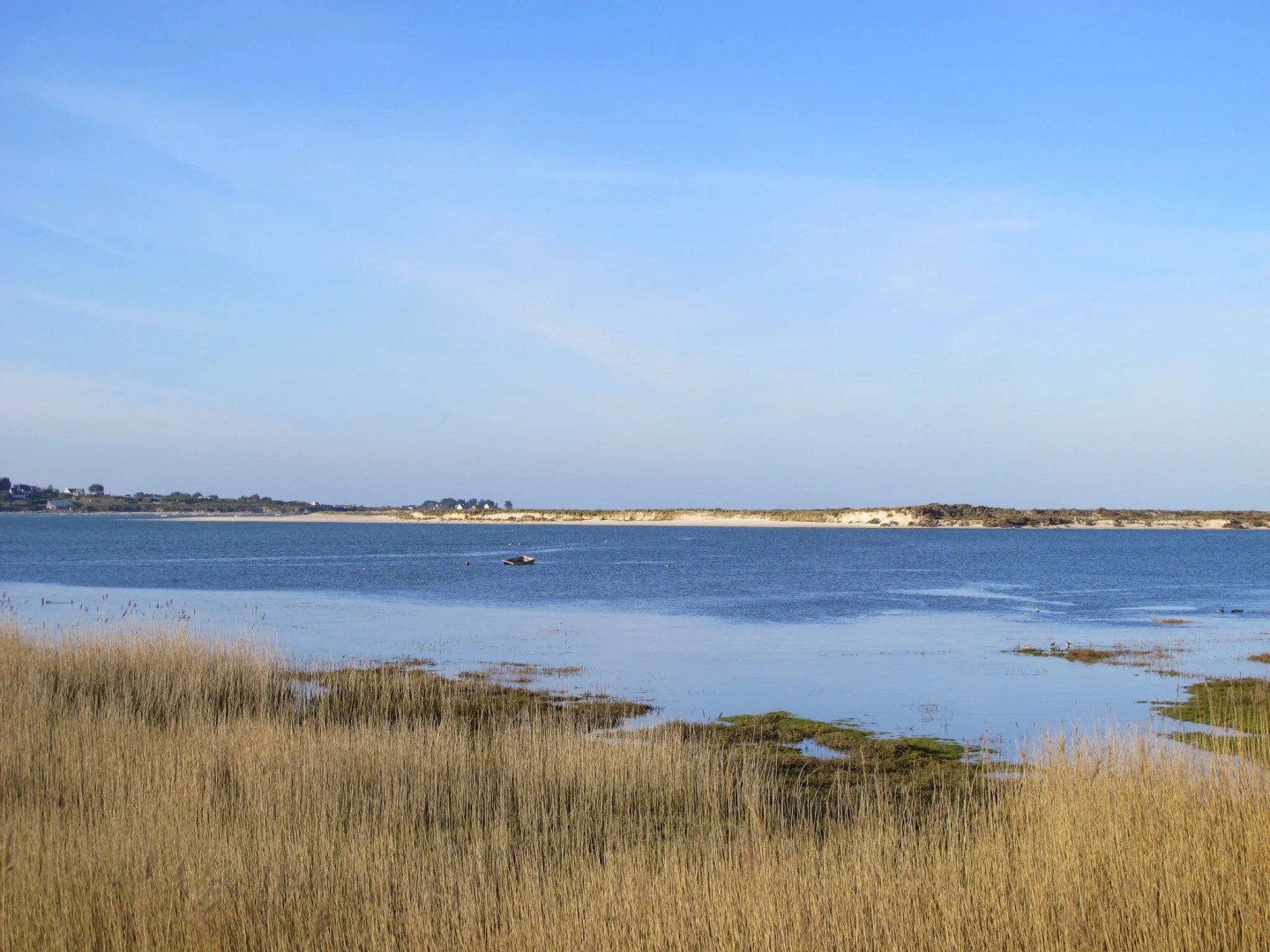 La Charmeuse (GOV203)