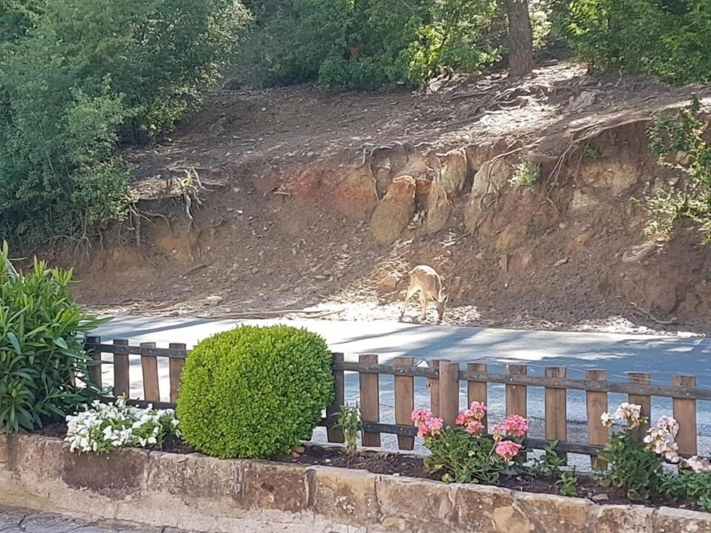 Apartahotel Montepiedra