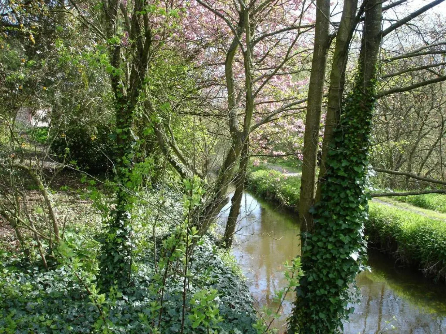 Les Vallées du Guyoult