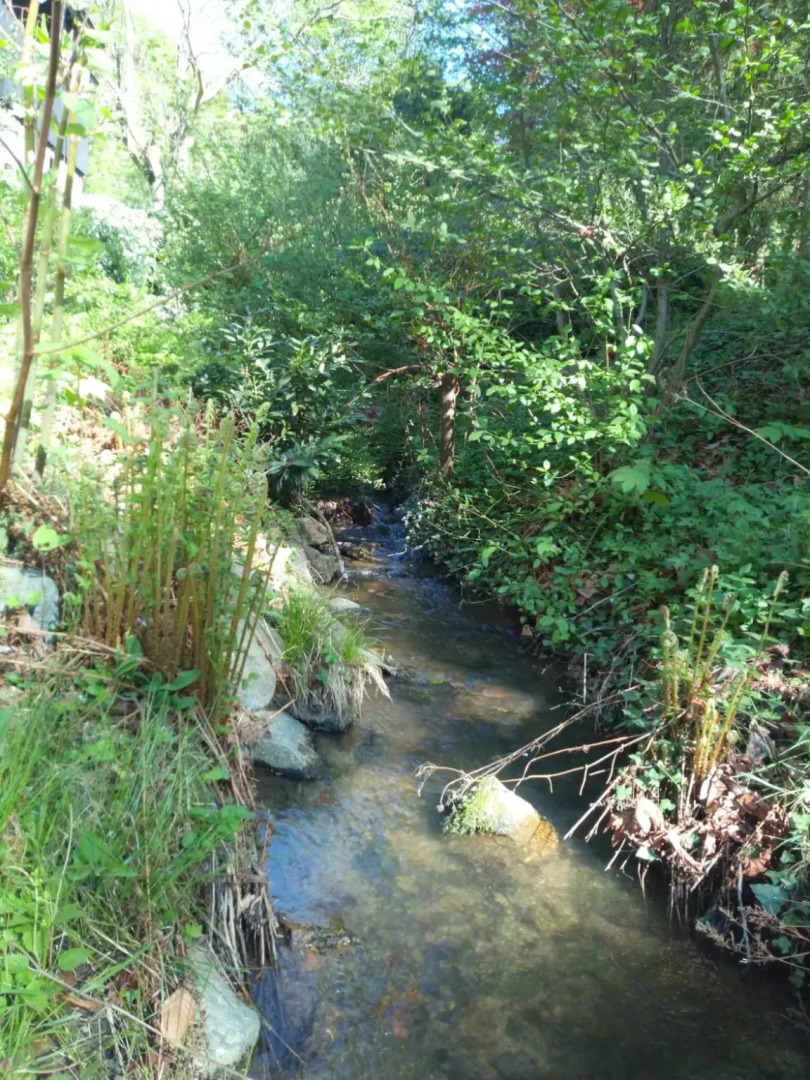 Pulvermühle - 3 Zimmer Bad direkt am Stettbach im NATURA 2000 Gebiet mit 12500 qm Garten, E- Bikes Verleih