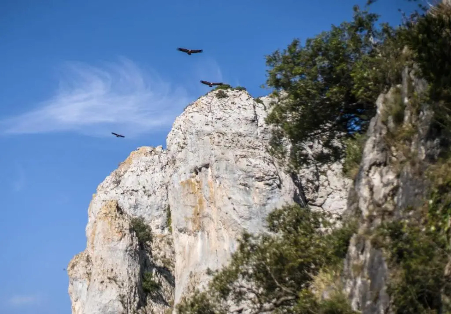 apartamento 2 hab - montaña y playa