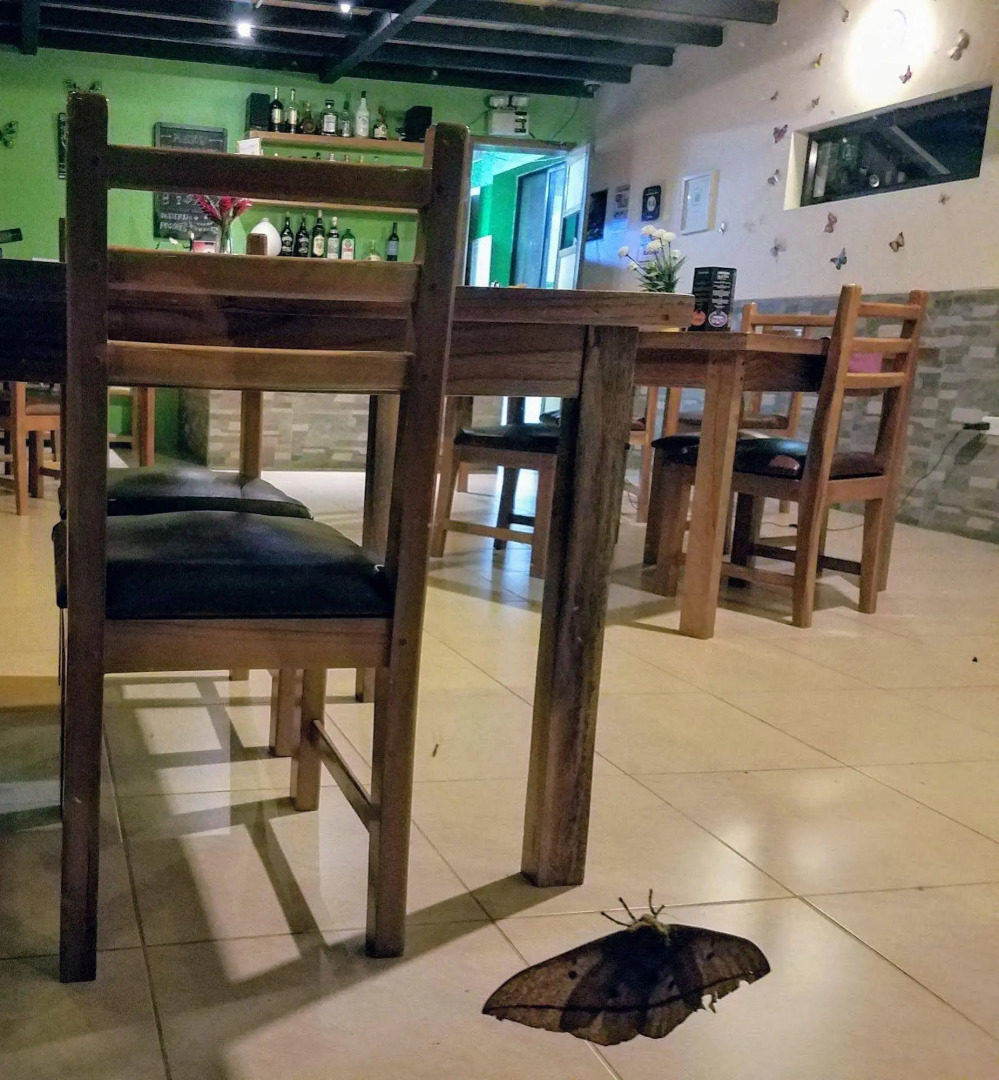 Las Terrazas De Dana Boutique Lodge